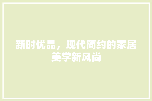 新时优品，现代简约的家居美学新风尚