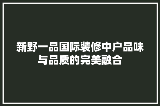 新野一品国际装修中户品味与品质的完美融合