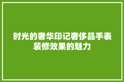时光的奢华印记奢侈品手表装修效果的魅力