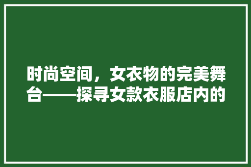 时尚空间，女衣物的完美舞台——探寻女款衣服店内的装修艺术