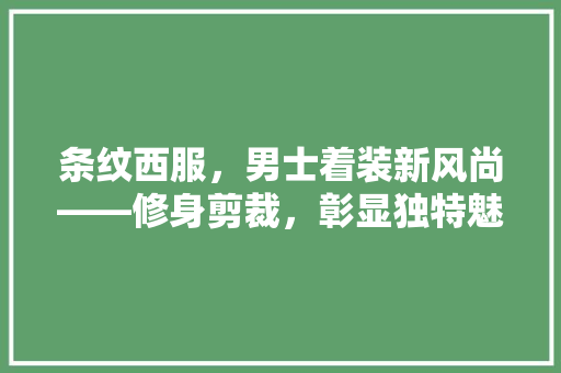 条纹西服，男士着装新风尚——修身剪裁，彰显独特魅力