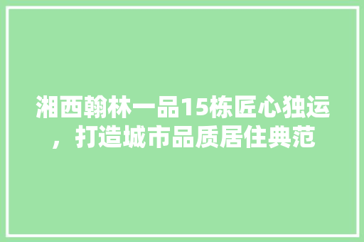 湘西翰林一品15栋匠心独运，打造城市品质居住典范