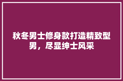 秋冬男士修身款打造精致型男，尽显绅士风采