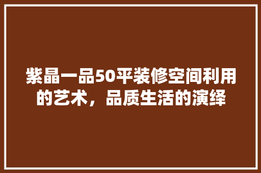 紫晶一品50平装修空间利用的艺术，品质生活的演绎