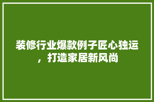 装修行业爆款例子匠心独运，打造家居新风尚