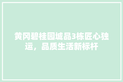 黄冈碧桂园城品3栋匠心独运，品质生活新标杆