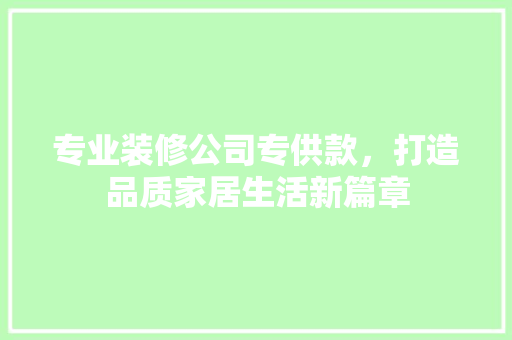 专业装修公司专供款，打造品质家居生活新篇章