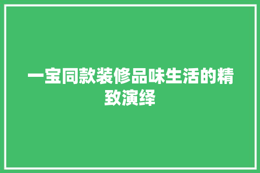 一宝同款装修品味生活的精致演绎