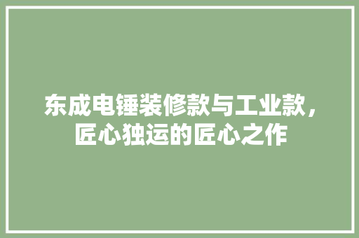 东成电锤装修款与工业款，匠心独运的匠心之作