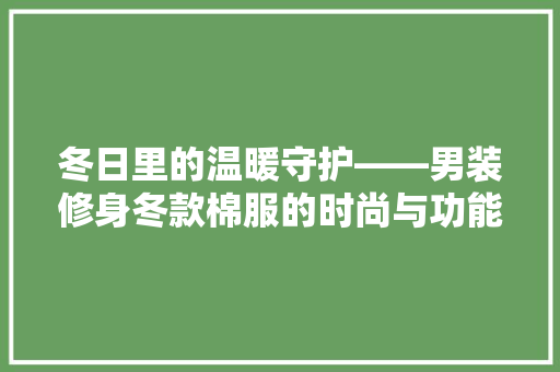 冬日里的温暖守护——男装修身冬款棉服的时尚与功能