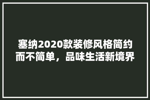 塞纳2020款装修风格简约而不简单，品味生活新境界