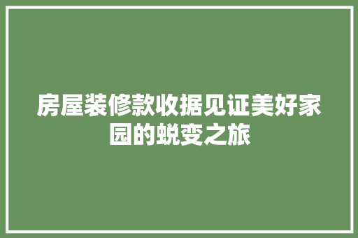 房屋装修款收据见证美好家园的蜕变之旅