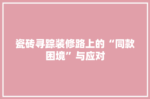 瓷砖寻踪装修路上的“同款困境”与应对