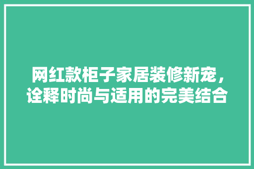 网红款柜子家居装修新宠，诠释时尚与适用的完美结合