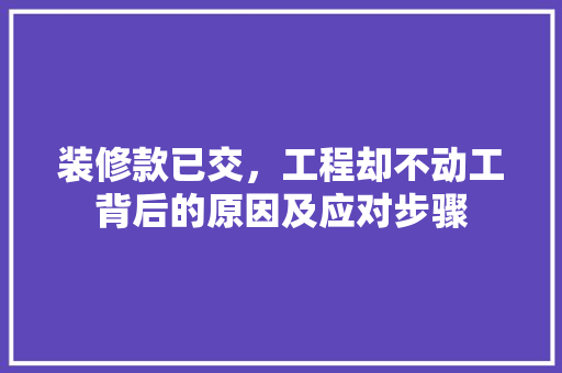 装修款已交，工程却不动工背后的原因及应对步骤