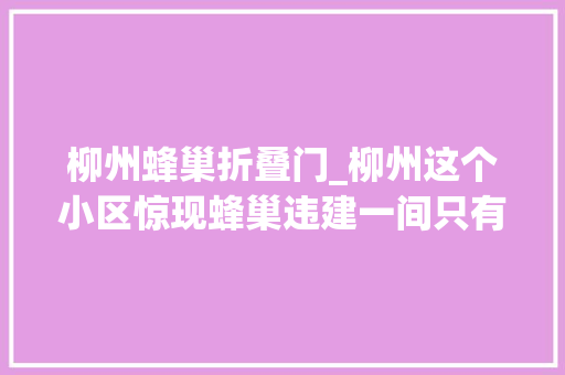 柳州蜂巢折叠门_柳州这个小区惊现蜂巢违建一间只有2平方米大年夜小城管4小时摘掉落4个