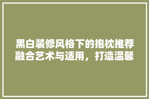 黑白装修风格下的抱枕推荐融合艺术与适用，打造温馨家居空间