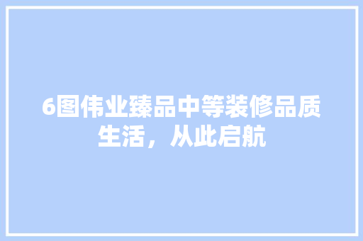 6图伟业臻品中等装修品质生活，从此启航