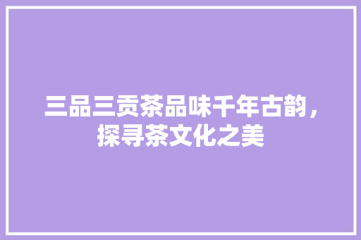 三品三贡茶品味千年古韵，探寻茶文化之美