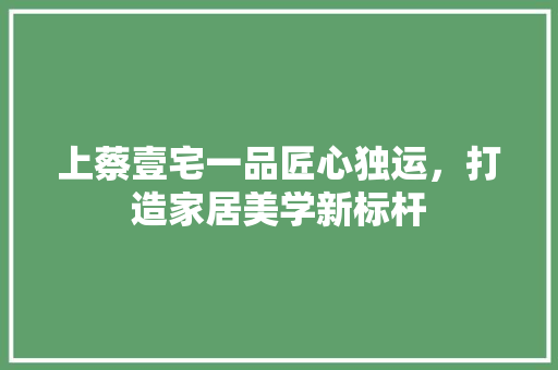 上蔡壹宅一品匠心独运，打造家居美学新标杆