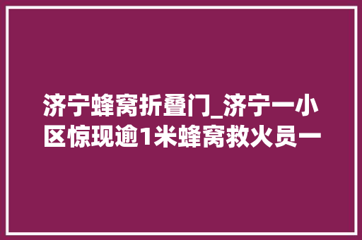 济宁蜂窝折叠门_济宁一小区惊现逾1米蜂窝救火员一窝端