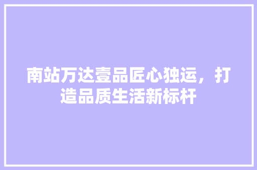 南站万达壹品匠心独运，打造品质生活新标杆