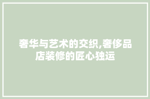 奢华与艺术的交织,奢侈品店装修的匠心独运