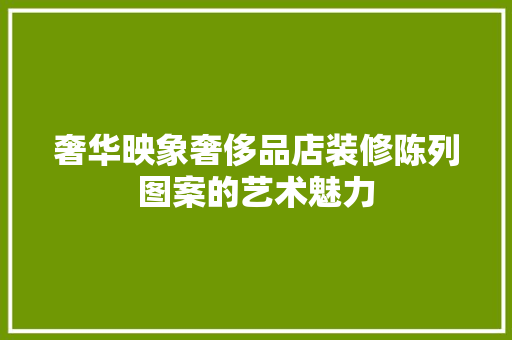 奢华映象奢侈品店装修陈列图案的艺术魅力
