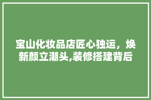 宝山化妆品店匠心独运，焕新颜立潮头,装修搭建背后的匠心与智慧