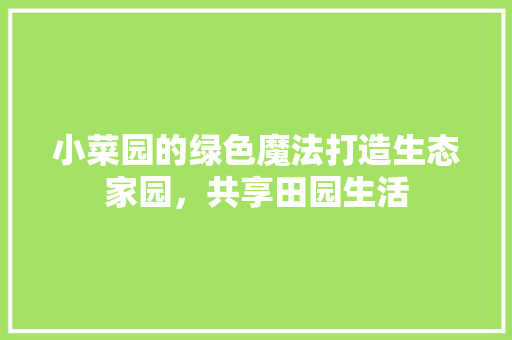 小菜园的绿色魔法打造生态家园，共享田园生活