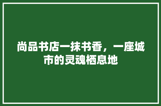 尚品书店一抹书香，一座城市的灵魂栖息地