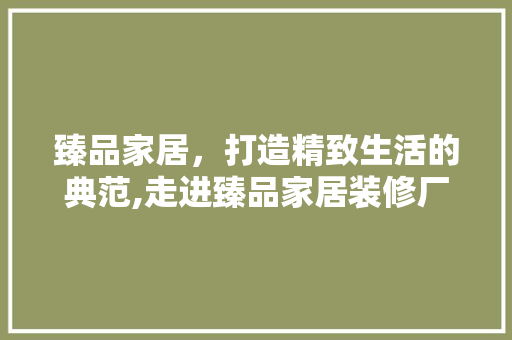 臻品家居，打造精致生活的典范,走进臻品家居装修厂家