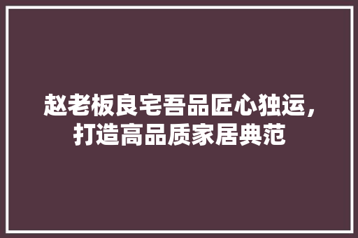 赵老板良宅吾品匠心独运，打造高品质家居典范