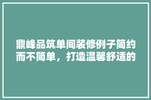 鼎峰品筑单间装修例子简约而不简单，打造温馨舒适的家