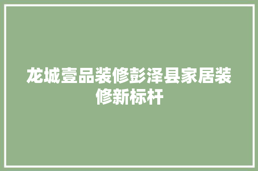 龙城壹品装修彭泽县家居装修新标杆
