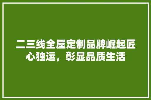二三线全屋定制品牌崛起匠心独运，彰显品质生活