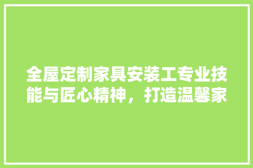 全屋定制家具安装工专业技能与匠心精神，打造温馨家居生活
