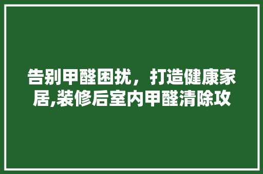 告别甲醛困扰，打造健康家居,装修后室内甲醛清除攻略