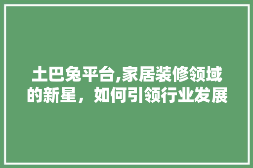 土巴兔平台,家居装修领域的新星，如何引领行业发展新潮流