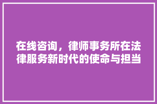 在线咨询，律师事务所在法律服务新时代的使命与担当