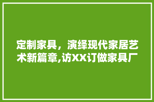 定制家具，演绎现代家居艺术新篇章,访XX订做家具厂