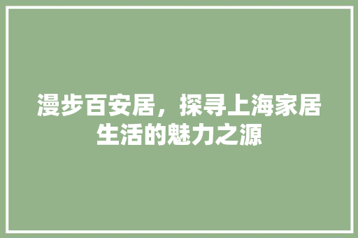 漫步百安居，探寻上海家居生活的魅力之源 推拉门