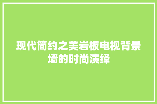 现代简约之美岩板电视背景墙的时尚演绎
