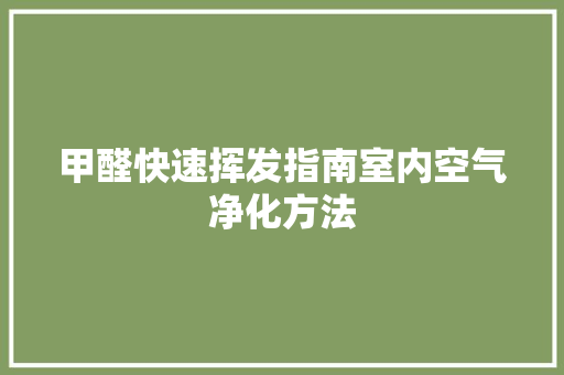 甲醛快速挥发指南室内空气净化方法