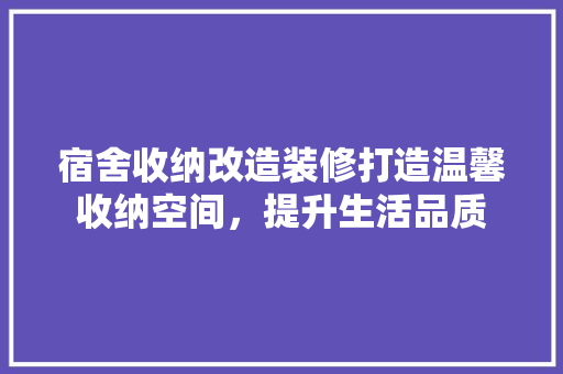 宿舍收纳改造装修打造温馨收纳空间，提升生活品质