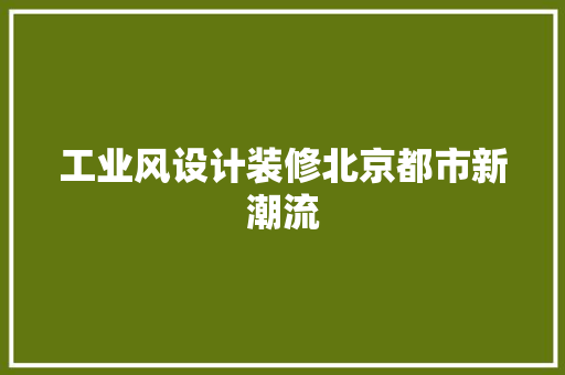 工业风设计装修北京都市新潮流 复合门