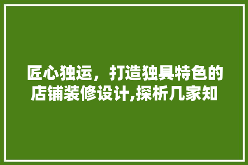 匠心独运，打造独具特色的店铺装修设计,探析几家知名设计公司