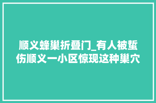 顺义蜂巢折叠门_有人被蜇伤顺义一小区惊现这种巢穴