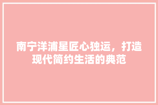 南宁洋浦星匠心独运，打造现代简约生活的典范