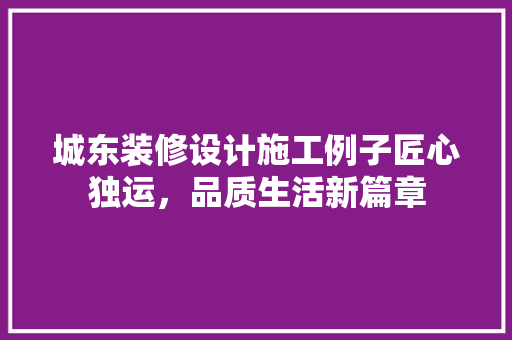 城东装修设计施工例子匠心独运，品质生活新篇章